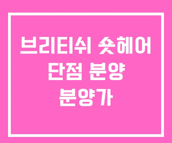 브리티쉬 숏헤어 단점 분양 분양가