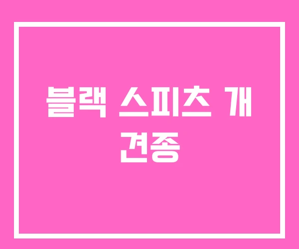 블랙 스피츠 개 견종 블랙 스피츠 개 견종