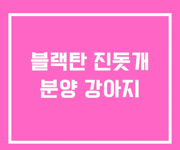 블랙탄 진돗개 분양 강아지