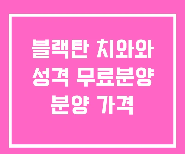 블랙탄 치와와 성격 무료분양 분양 가격