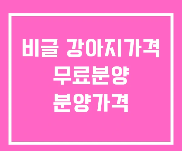 비글 강아지가격 무료분양 분양가격