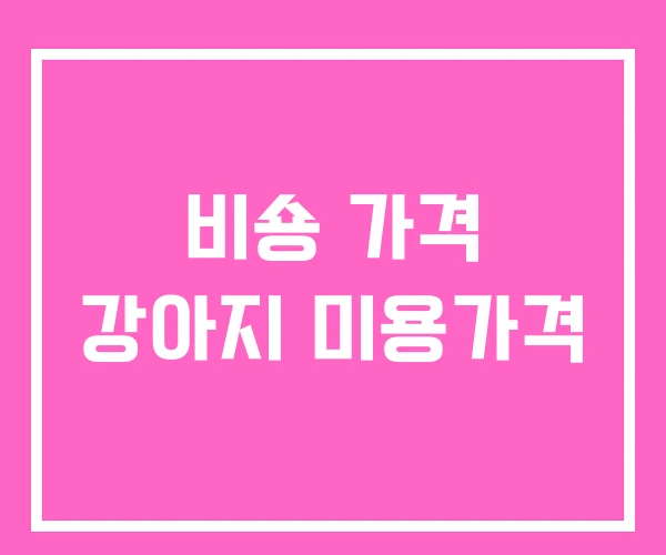 비숑 가격 강아지 미용가격