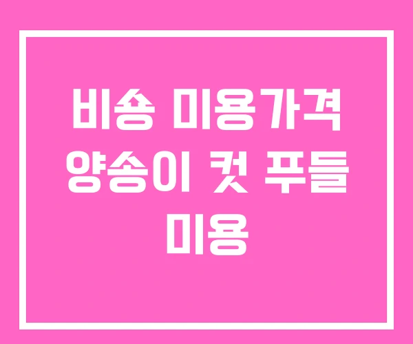비숑 미용가격 양송이 컷 푸들 미용 비숑 미용가격 양송이 컷 푸들 미용