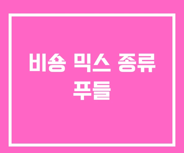 비숑 믹스 종류 푸들