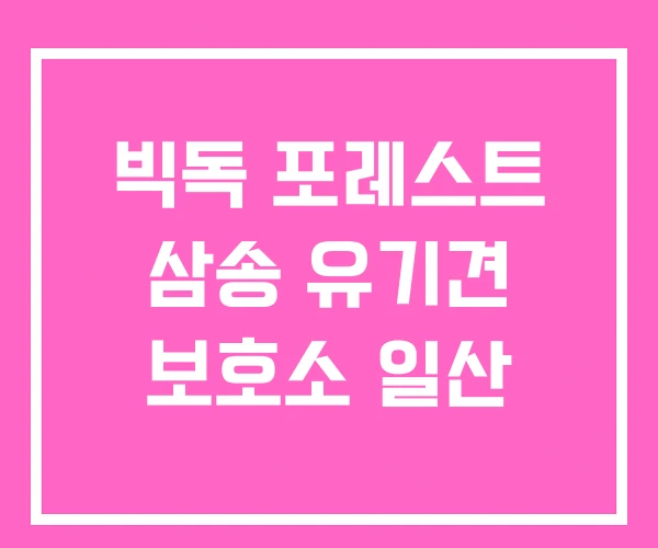 빅독 포레스트 삼송 유기견 보호소 일산