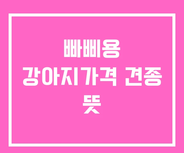 빠삐용 강아지가격 견종 뜻 빠삐용 강아지가격 견종 뜻