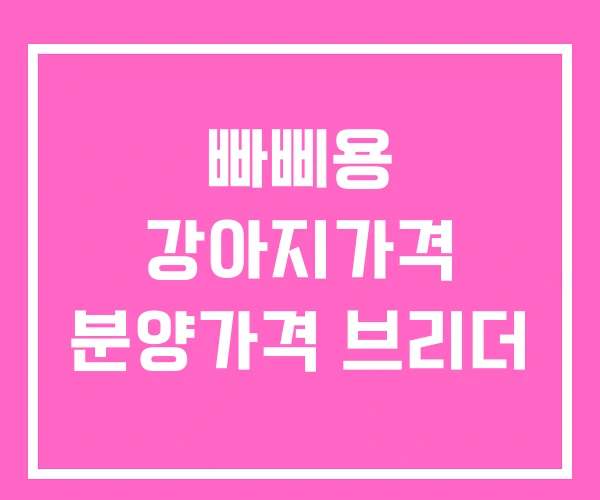 빠삐용 강아지가격 분양가격 브리더