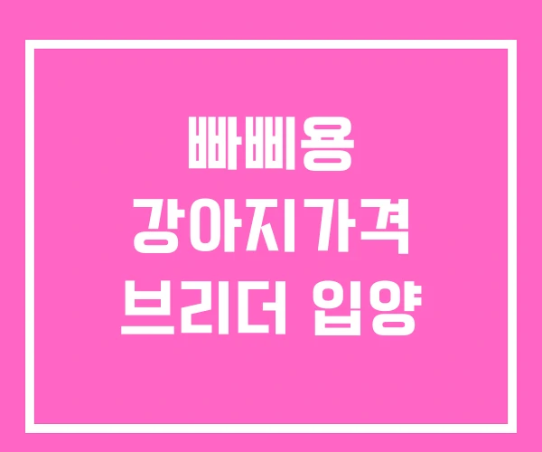 빠삐용 강아지가격 브리더 입양 빠삐용 강아지가격 브리더 입양