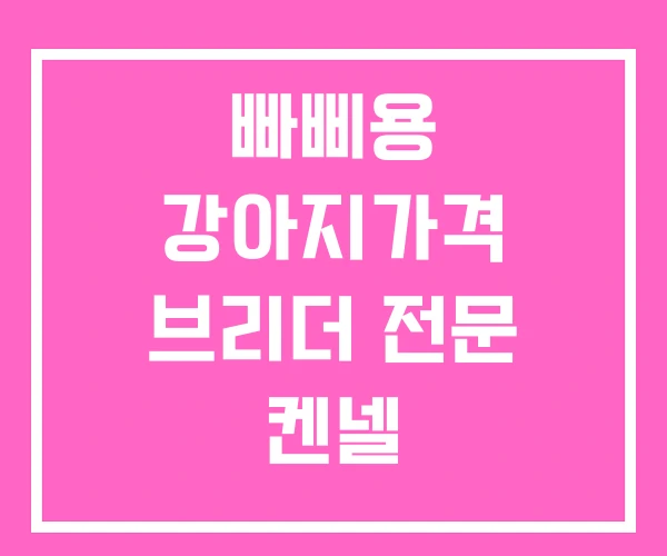 빠삐용 강아지가격 브리더 전문 켄넬