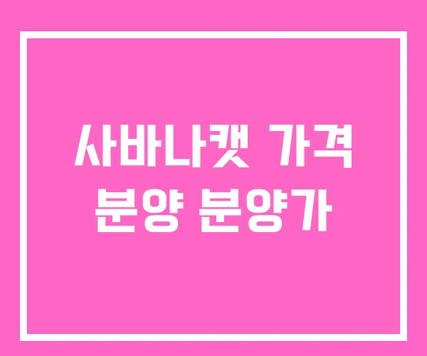 사바나캣 가격 분양 분양가