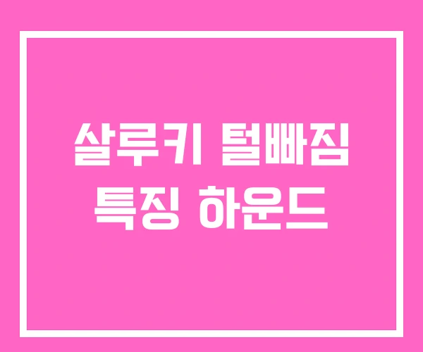 살루키 털빠짐 특징 하운드 살루키 털빠짐 특징 하운드