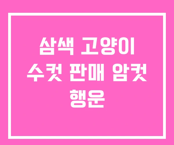 삼색 고양이 수컷 판매 암컷 행운