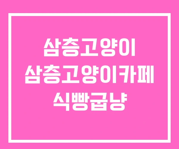 삼층고양이 삼층고양이카페 식빵굽냥