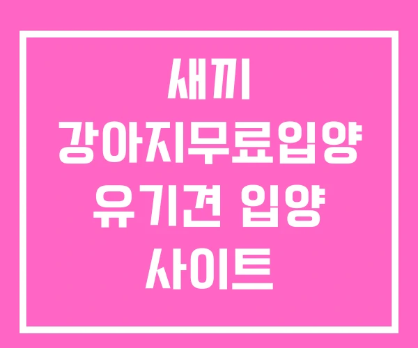 새끼 강아지무료입양 유기견 입양 사이트