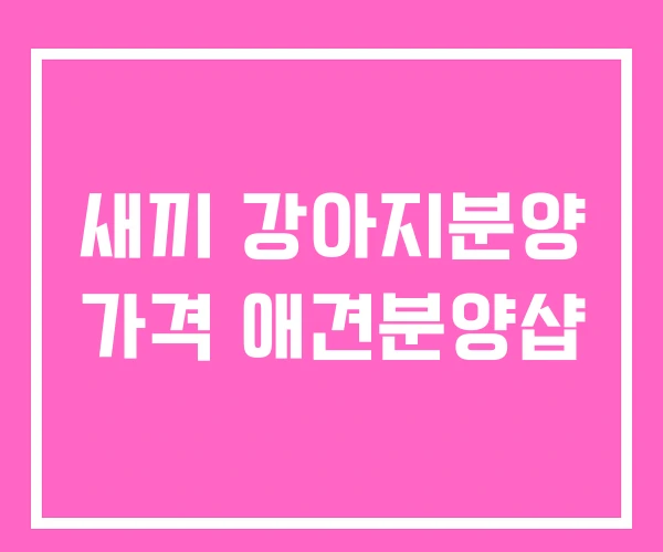 새끼 강아지분양 가격 애견분양샵