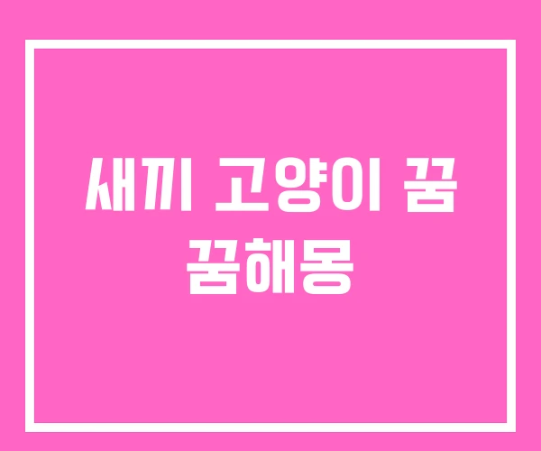 새끼 고양이 꿈 꿈해몽 새끼 고양이 꿈 꿈해몽