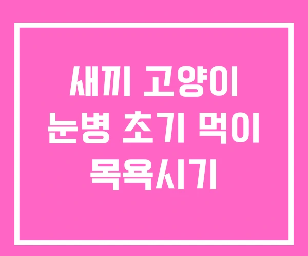 새끼 고양이 눈병 초기 먹이 목욕시기