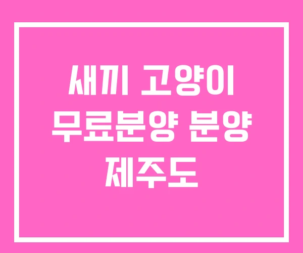 새끼 고양이 무료분양 분양 제주도 새끼 고양이 무료분양 분양 제주도