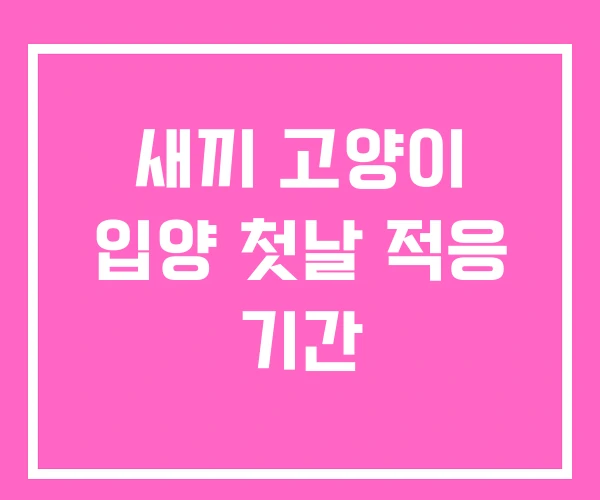 새끼 고양이 입양 첫날 적응 기간 새끼 고양이 입양 첫날 적응 기간