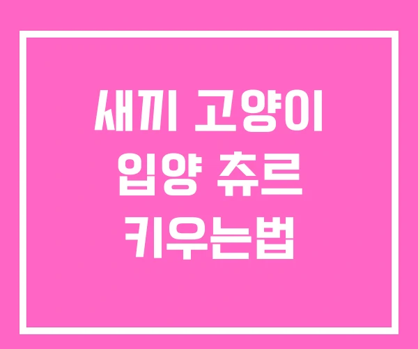 새끼 고양이 입양 츄르 키우는법