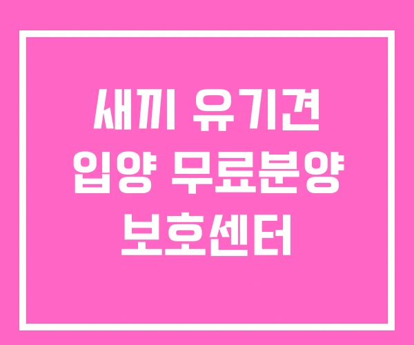 새끼 유기견 입양 무료분양 보호센터