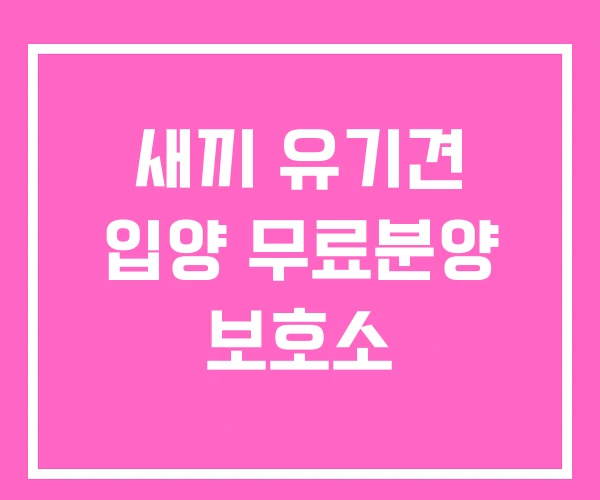 새끼 유기견 입양 무료분양 보호소