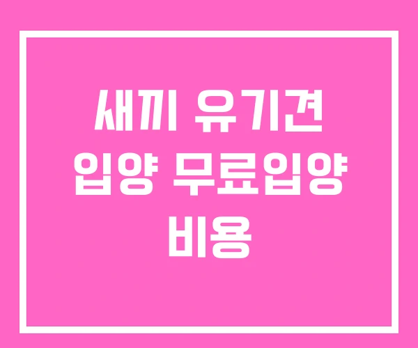 새끼 유기견 입양 무료입양 비용