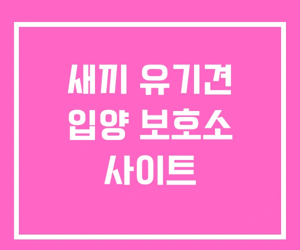 새끼 유기견 입양 보호소 사이트