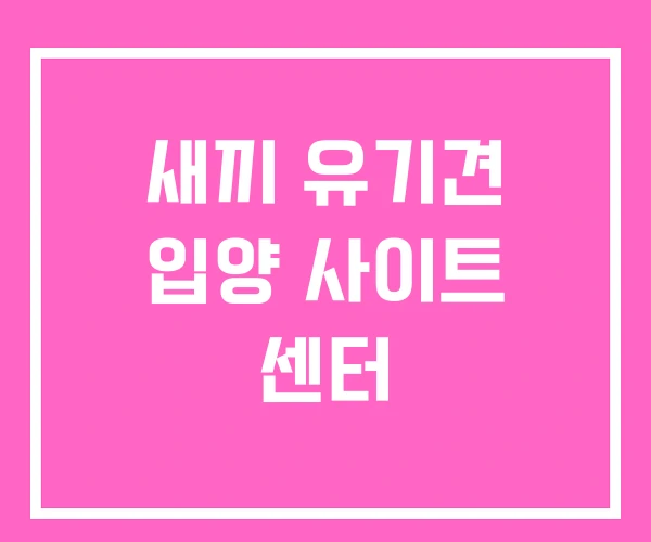 새끼 유기견 입양 사이트 센터 새끼 유기견 입양 사이트 센터
