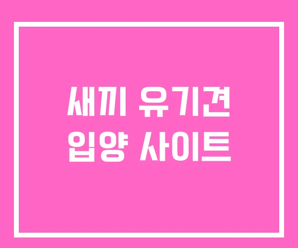 새끼 유기견 입양 사이트