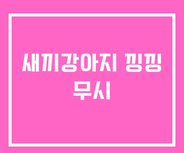 새끼강아지 낑낑 무시