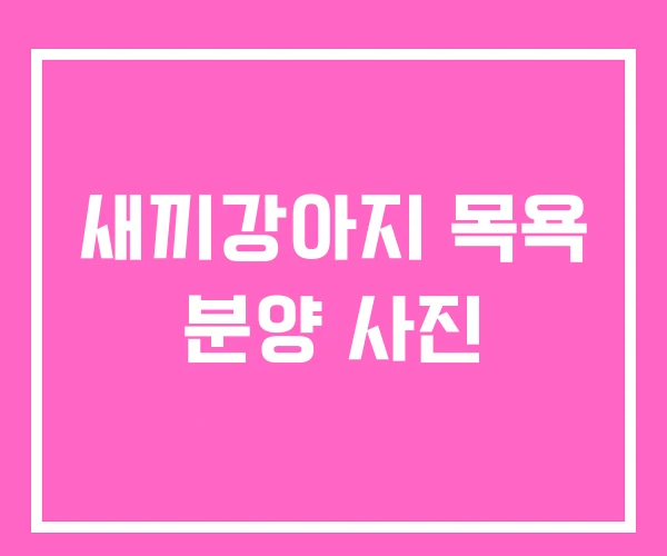 새끼강아지 목욕 분양 사진