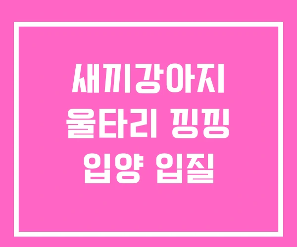 새끼강아지 울타리 낑낑 입양 입질 새끼강아지 울타리 낑낑 입양 입질