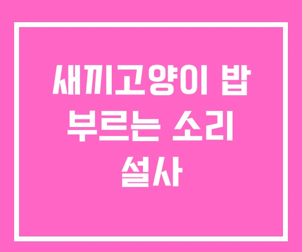 새끼고양이 밥 부르는 소리 설사