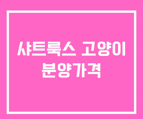 샤트룩스 고양이 분양가격 샤트룩스 고양이 분양가격