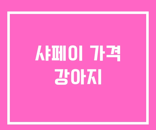 샤페이 가격 강아지