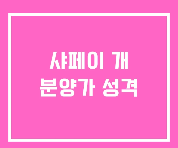 샤페이 개 분양가 성격 샤페이 개 분양가 성격