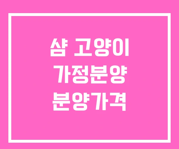 샴 고양이 가정분양 분양가격