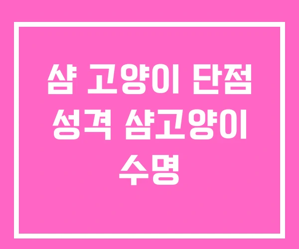 샴 고양이 단점 성격 샴고양이 수명 샴 고양이 단점 성격 샴고양이 수명