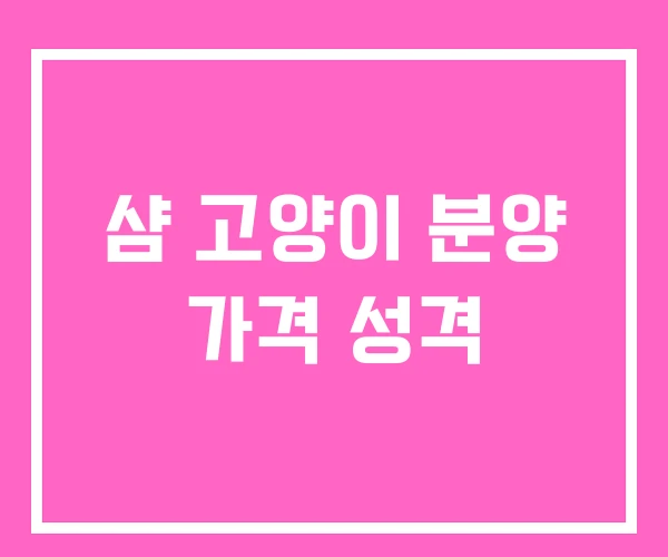 샴 고양이 분양 가격 성격 샴 고양이 분양 가격 성격