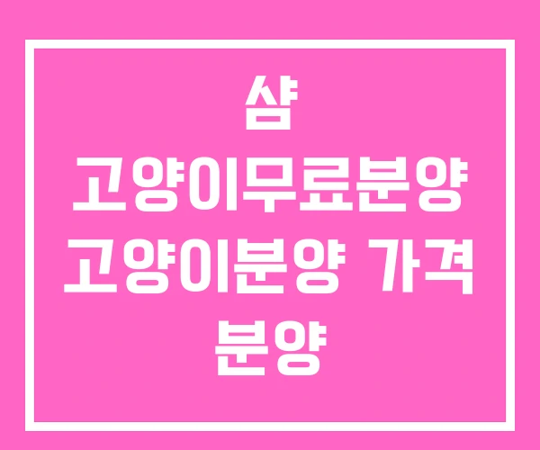 샴 고양이무료분양 고양이분양 가격 분양 샴 고양이무료분양 고양이분양 가격 분양