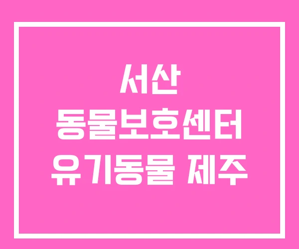 서산 동물보호센터 유기동물 제주