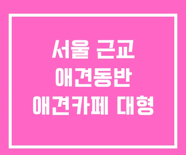 서울 근교 애견동반 애견카페 대형