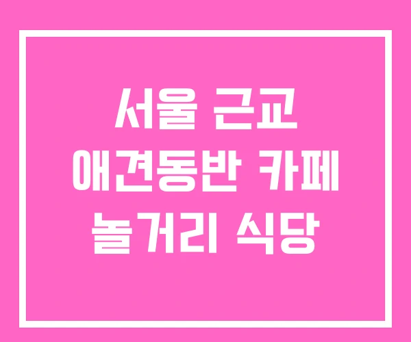 서울 근교 애견동반 카페 놀거리 식당