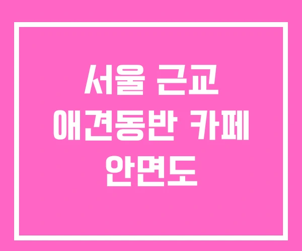 서울 근교 애견동반 카페 안면도