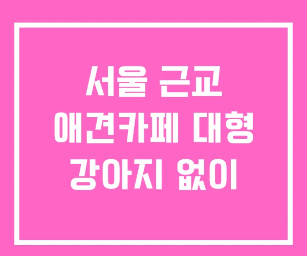 서울 근교 애견카페 대형 강아지 없이