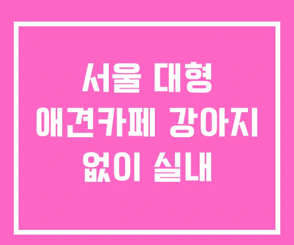 서울 대형 애견카페 강아지 없이 실내