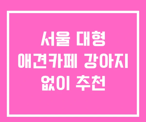 서울 대형 애견카페 강아지 없이 추천 서울 대형 애견카페 강아지 없이 추천