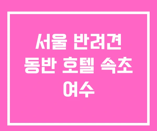 서울 반려견 동반 호텔 속초 여수