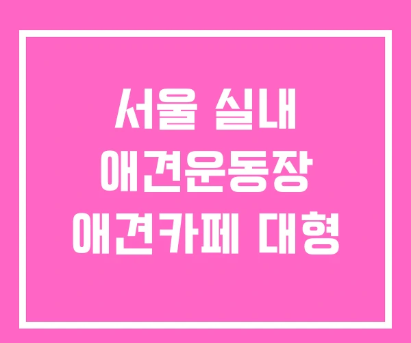 서울 실내 애견운동장 애견카페 대형